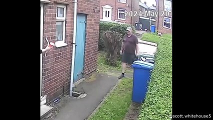 This Broke My Brain |  amazing video compilations