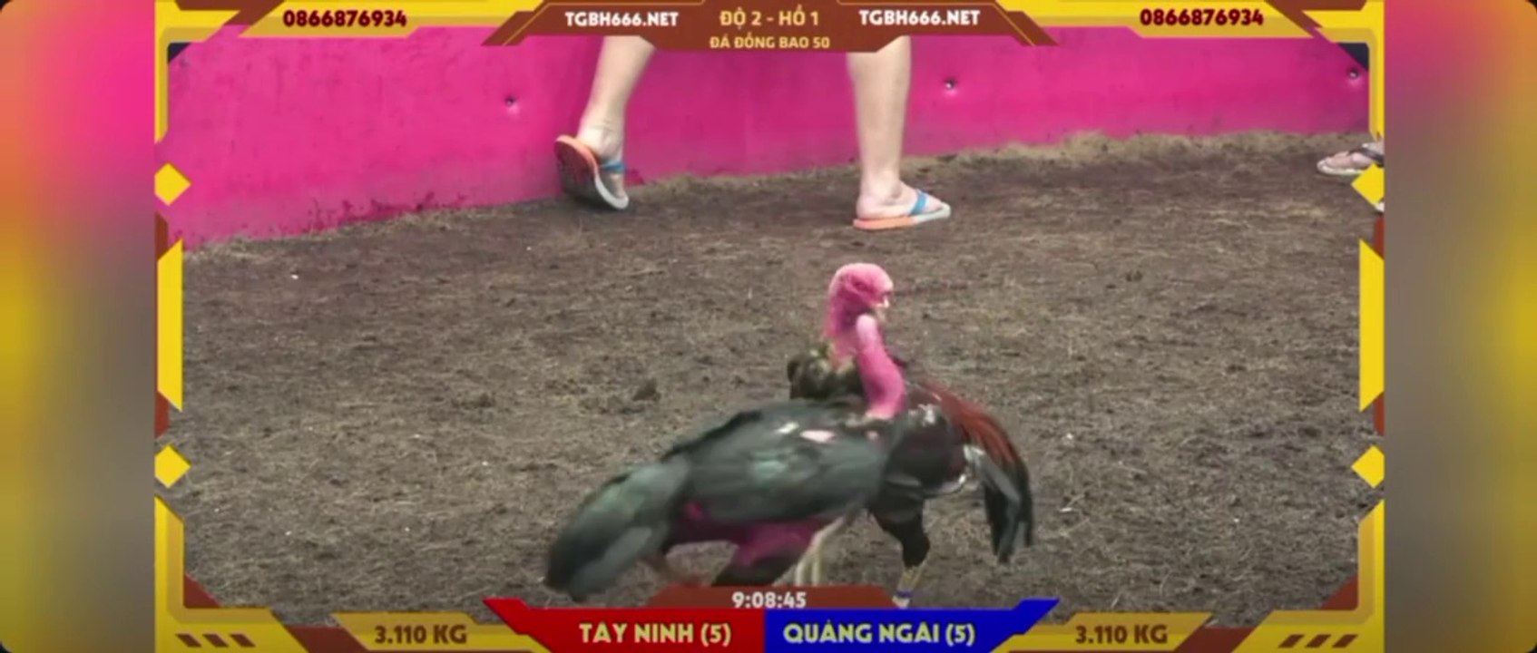Ô chân vàng Idol Thiện Tây Ninh win 14 hồ (hồ 1)