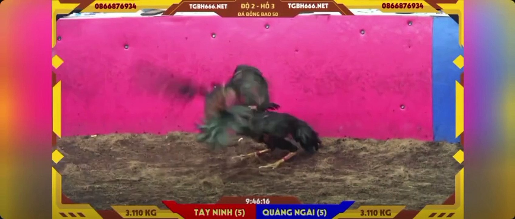 Ô chân vàng Idol Thiện Tây Ninh win 14 hồ (hồ 3)