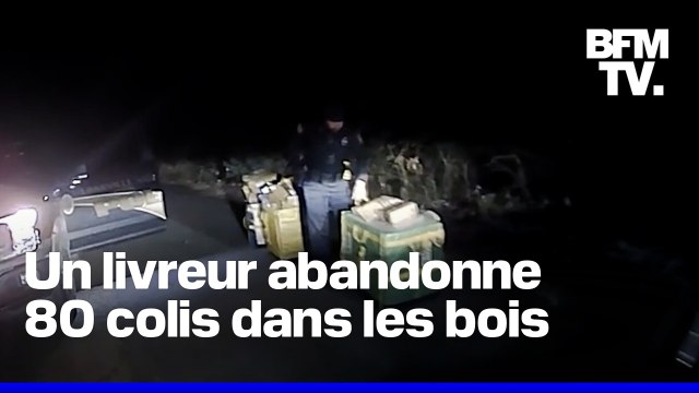 Parce qu'il était stressé , un livreur Amazon abandonne 80 colis dans les bois juste avant Noël