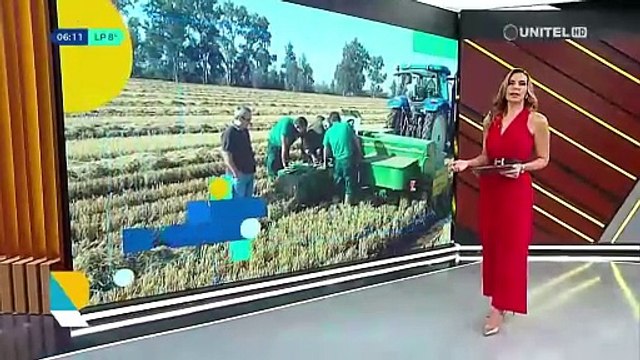 ​​​​​​​Vecinos denuncian que no hay venta de arroz en Emapa este viernes