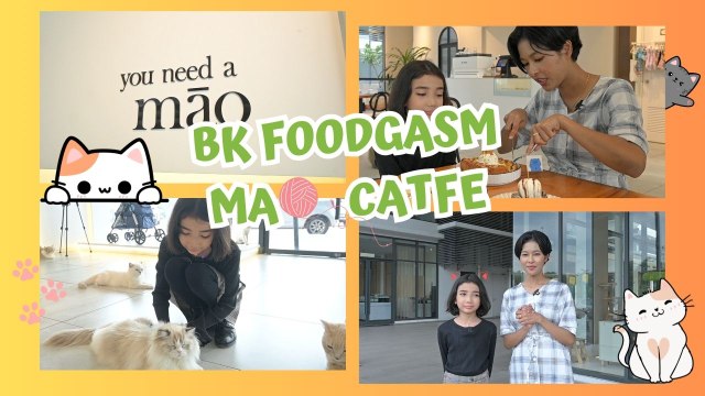 Zandayya Food Hunting Sambil Main Kucing! | BK Foodgasm Episode 4 | Bintang Kecil