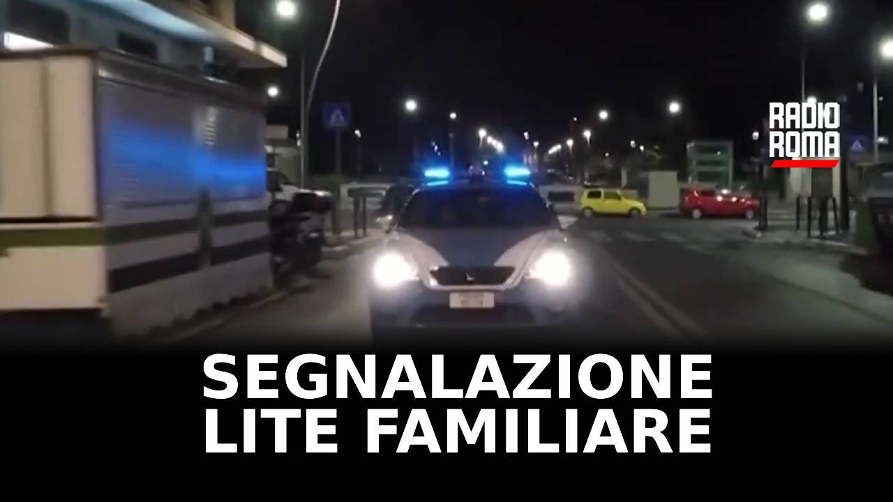 Video 20enne tenta di uccidere madre con forbici, arrestato