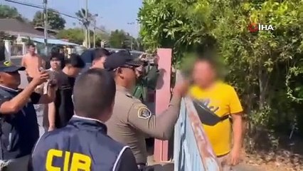 İstanbul Havalimanı'ndaki yavru gorilin izi sürüldü: Onlarca hayvan kurtarıldı
