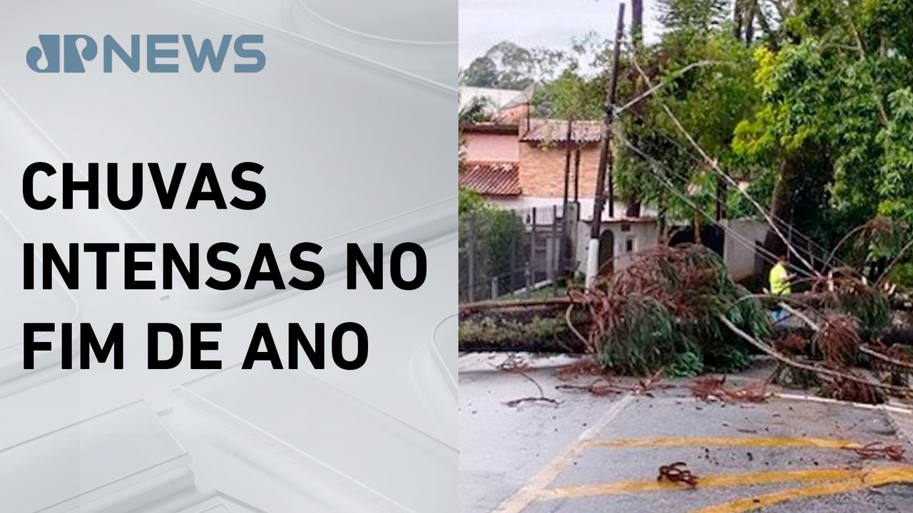 São Paulo registra quedas de árvores, postes e alagamentos