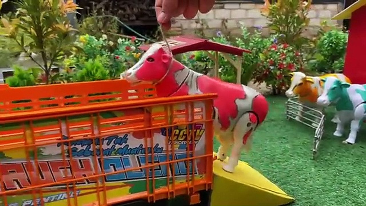 Wadidaw !! Proses potong Sapi kurban