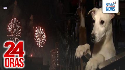 Panawagan ng animal lovers: Wag magpaputok dahil makakasama sa mga alagang hayop | 24 Oras