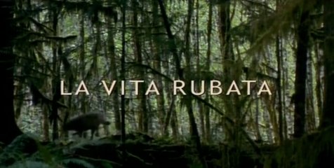 La Vita Rubata Graziella Campagna