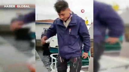 İstanbul Boğazı'nda bu da oldu: Balık tutarken tilki yakaladılar: "Korkudan titredi"