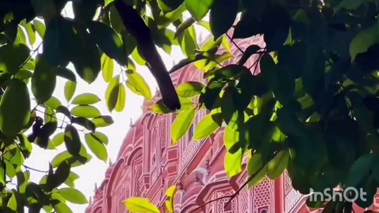 hawa mahal