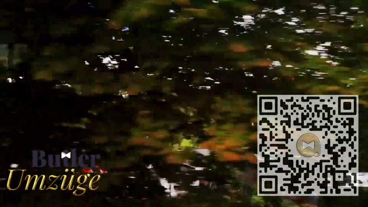 💝 #PreisAngebote für Umzüge🥇#Umzugsfirma 🚛 #ButlerUmzüge 🚚