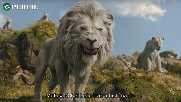 Descubra os leões brancos de Mufasa, pronunciamento da JYP sobre Lee Junho e patente de Jungkook no exército