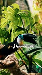 لا تفوت زيارة هذا المكان الرائع 😍 متحف المستقبل #دبي #اكسبلور #سفر #سافرالآن✈️