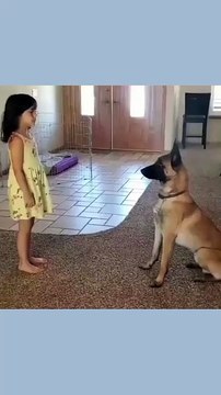 Dog play hide and sick for cute baby girl #dogstagram #instadog #ilovemydog #puppydog #puppiesofinstagram #cutepuppies #pet #petsofinstagram