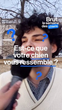 Est-ce que votre chien vous ressemble ?