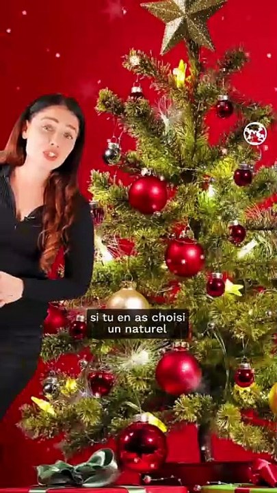 Comment recycler son sapin de Noël après les fêtes ?
