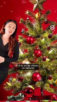Comment recycler son sapin de Noël après les fêtes ?