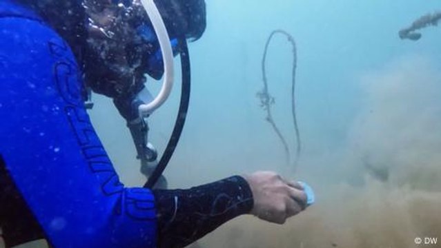 In India, divers help revive Goa's fragile coral reefs