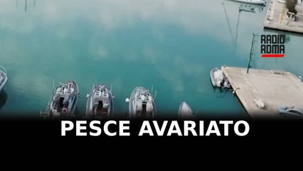 Sequestrato pesce avariato destinato a ristoranti etnici