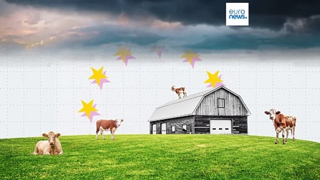 Como é que variaram os preços dos legumes, do leite e das frutas em 2024?