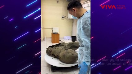 Ilmuwan Temuan Bangkai Gajah Purba Berusia 50 Ribu Tahun