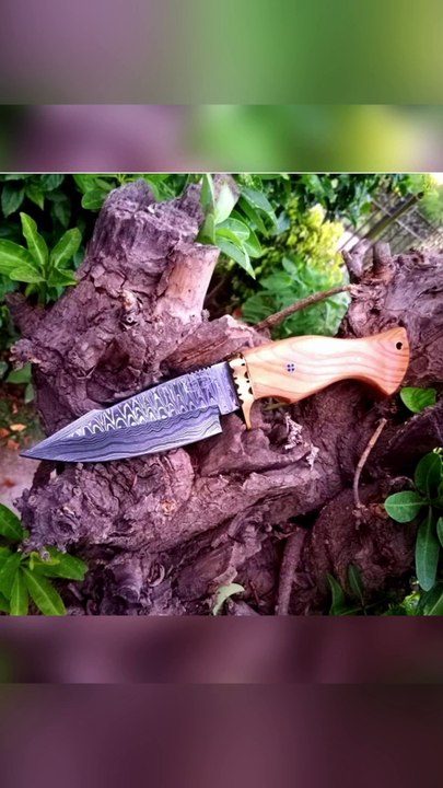Bloodlines: Hunting Knives for Big Game Hunters, Outdoor Enthusiasts & Survivalists. Avail all links to review and purchase the products mentioned in description