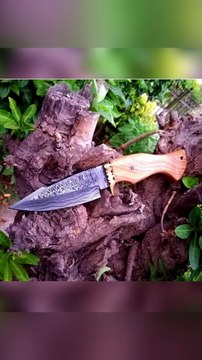 Bloodlines: Hunting Knives for Big Game Hunters, Outdoor Enthusiasts & Survivalists. Avail all links to review and purchase the products mentioned in description
