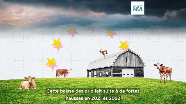 Huile d'olive, lait et céréales : comment les prix des denrées alimentaires ont fluctué en 2024