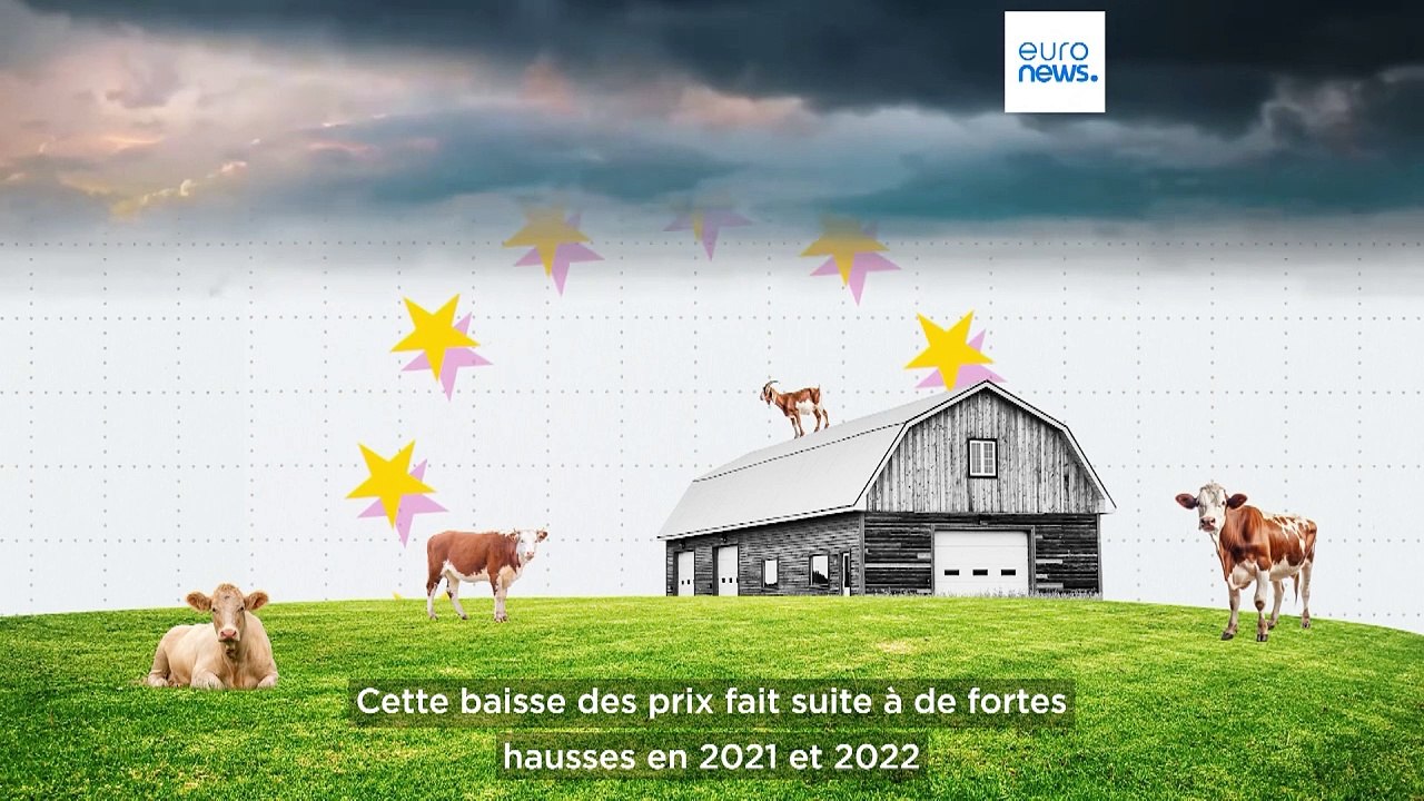 Huile d'olive, lait et céréales : comment les prix des denrées alimentaires ont fluctué en 2024