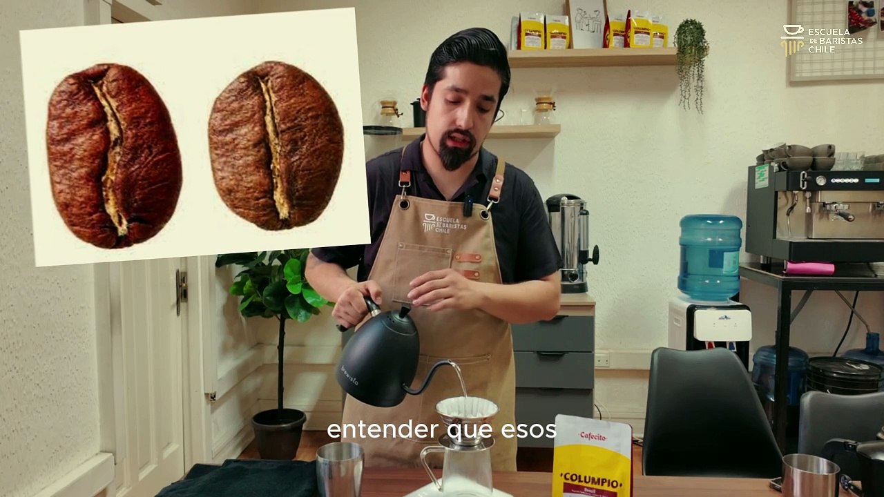 Contenido Curso Barista Integral | Escuela de Baristas Chile