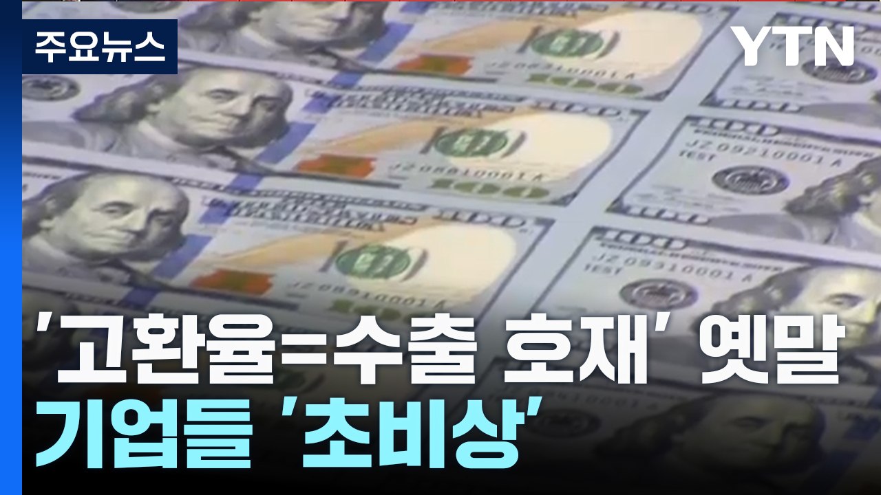 '고환율=수출 호재' 옛말...기업들 '초비상' / YTN