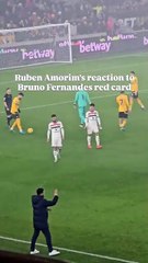 Ruben Amorim e Bruno Fernandes