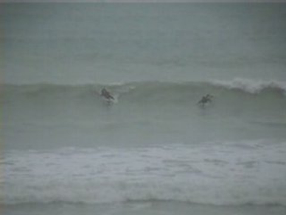 Surf toussaint 2005 super sessions