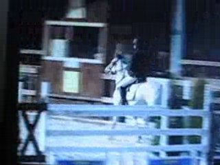 MVI_0004
