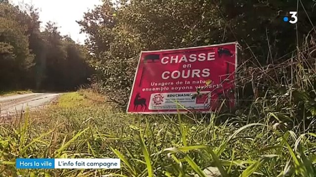 Qu'est-ce que l'horrible maladie d'Aujeszky, ce virus tueur de chien, qui a provoqué la mort de 4 chiens en Ariège ? Un vaccin existe en Europe, mais il n'est pas disponible en France