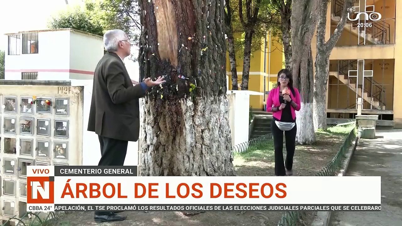 arbol de los deseos