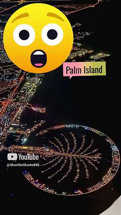 Palm Island at night #shorts895