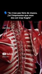 Anatomy Visualization from YouTube Laura Orvélie 🧠🎀