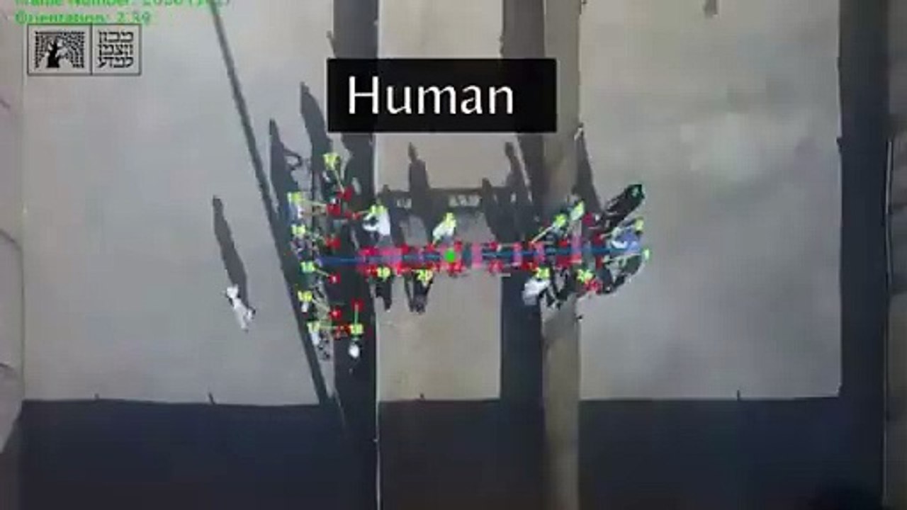 Experimento humano vs Hormigas