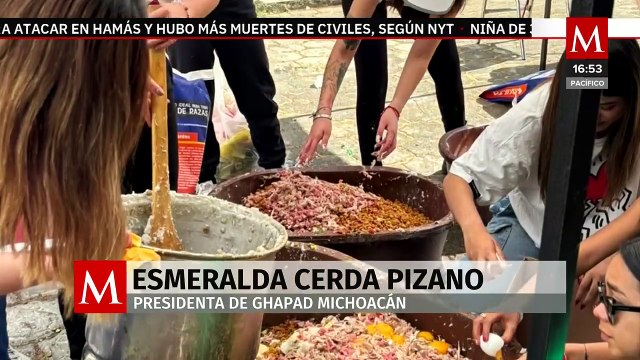 Programa 'Pancitas llenas' dio alimento a más de 2 mil perros y gatos en situación de calle