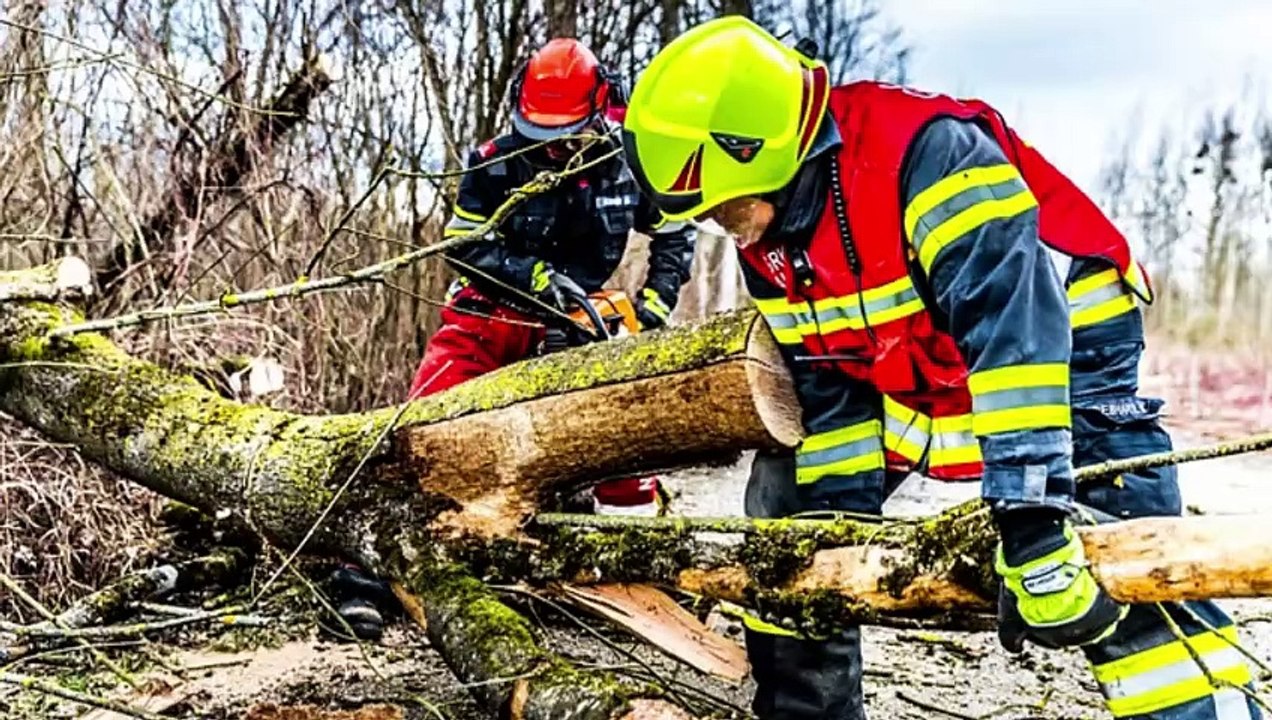 Fire Damage Restoration Contractor