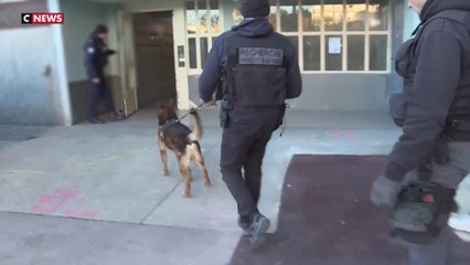 Trafic de drogue : le maigre bilan des opérations «place nette XXL»