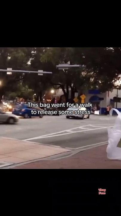 Meme Videos