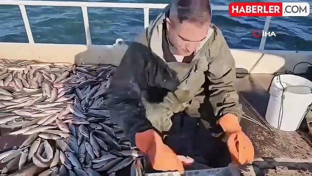 Erçek Gölü'nde Kış Avcılığı ve İnci Kefali Stoku