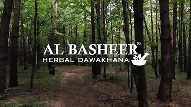 White Moringa gum use and benefit, White Moringa Gum Manufacturers in Delhi