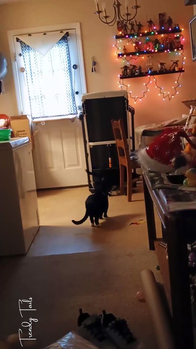 She has learned to entertain herself!