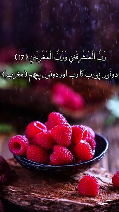 سورۃ الرحمٰن کاملتہ القاری محمد الفقیہ
