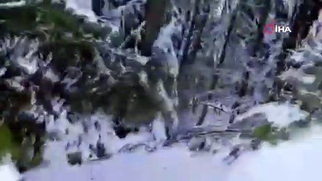 Nadir görülen kızıl geyik kameraya takıldı