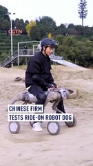 Meet the future of mobility: Chinese firm unveils ride-on robot dog