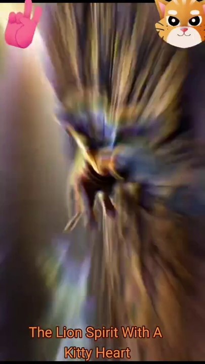 A King of Tiger Son To Helped By The New Best Friend Is A Good Street Cat & Then They Aslo To Facing The Another Dangerous Treats From Alot Bad Heyna's In The Deep Wild Jungle